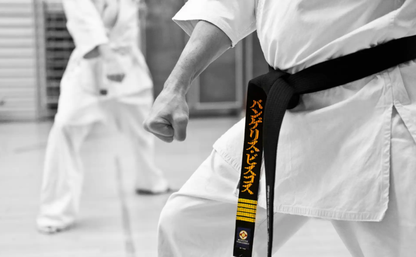 Pentingnya Latihan Kumite dalam Pengembangan Skill Bertarung