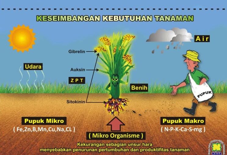 Evaluasi Efektivitas Penerapan Metode Tanam Terpadu dalam Mengurangi Penggunaan Pestisida