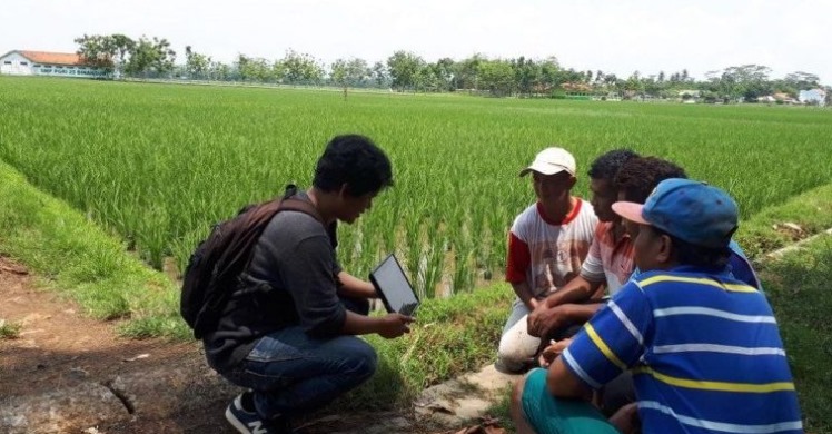 Pengaruh Penyuluhan Pertanian terhadap Pengetahuan dan Praktik Budidaya Tanaman Petani