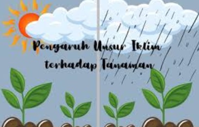 Analisis Dampak Perubahan Iklim terhadap Fenologi dan Produksi Tanaman Buah